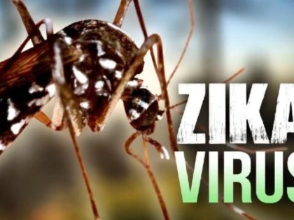 VIRUSUL ZIKA, CONFIRMAT ÎN ROMÂNIA
