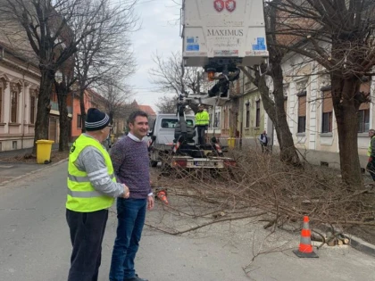 Vrei să-ți facă primăria curat în fața blocului? Fă o cerere la PNL Arad și se rezolvă