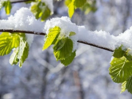 Vremea se schimbă radical, după zile întregi cu temperaturi de primăvară