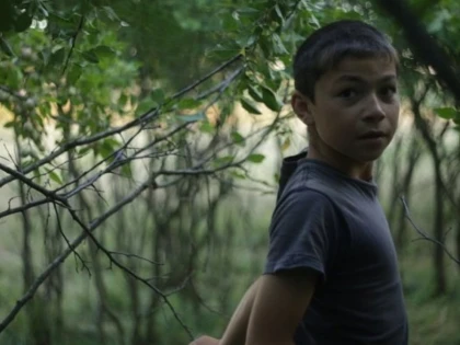 Wild Berries – cel mai bun documentar Aristoteles Workshop 2017