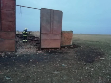 Zeci de animale au ars de vii, într-un saivan din Sintea Mică