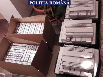 Zeci de percheziții în Arad și Timișoara. Au fost reținute 10 persoane, bănuite de trafic cu țigări