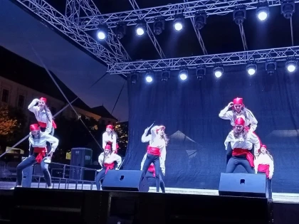 Ziua Aradului, sărbătorită la Pécs
