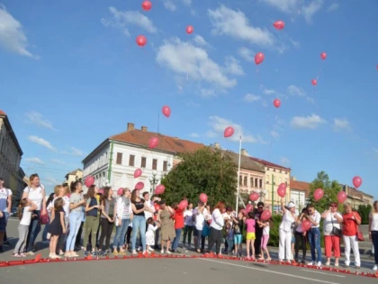 Ziua Internațională a Lumânărilor Aprinse, marcată la Arad