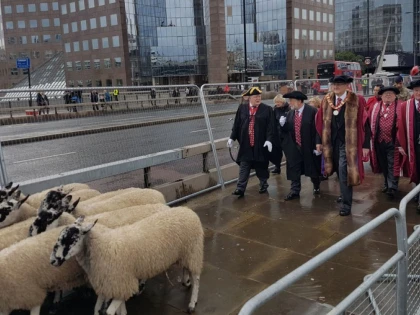 Ziua Oilor, la Londra. Mai multe turme au traversat centrul oraşului