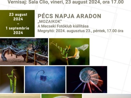Ziua Orașului Pécs la Arad va fi sărbătorită în 23 august