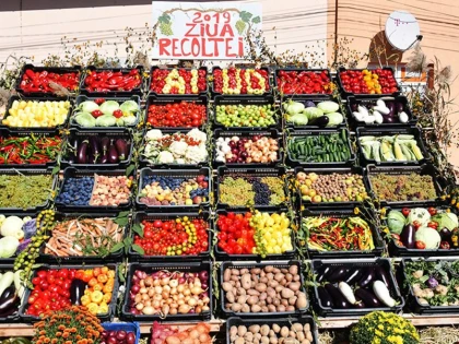 Ziua Recoltei la Consiliul Județean