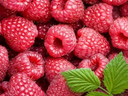 ZMEURA, IN TOP 10 FRUCTE EXOTICE CARE TE AJUTA SA SLABESTI
