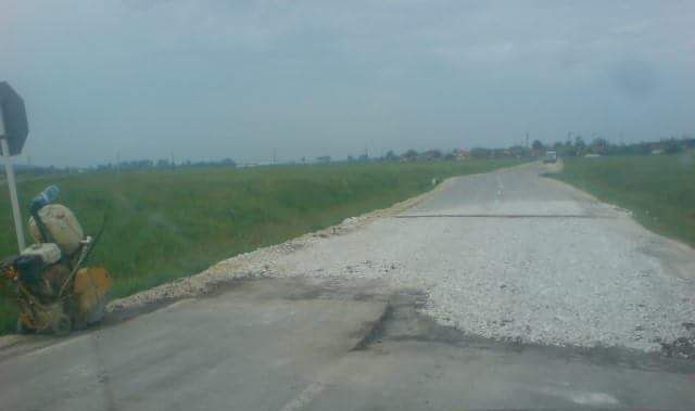 drumul vinului ineu3 (2)