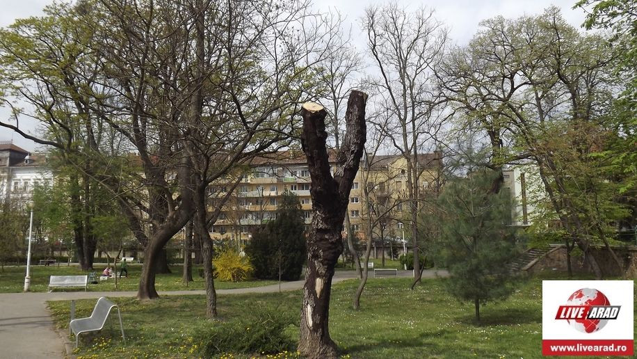 DSCF8863
