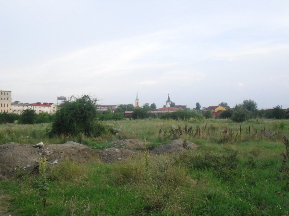 ruine gaiana 2