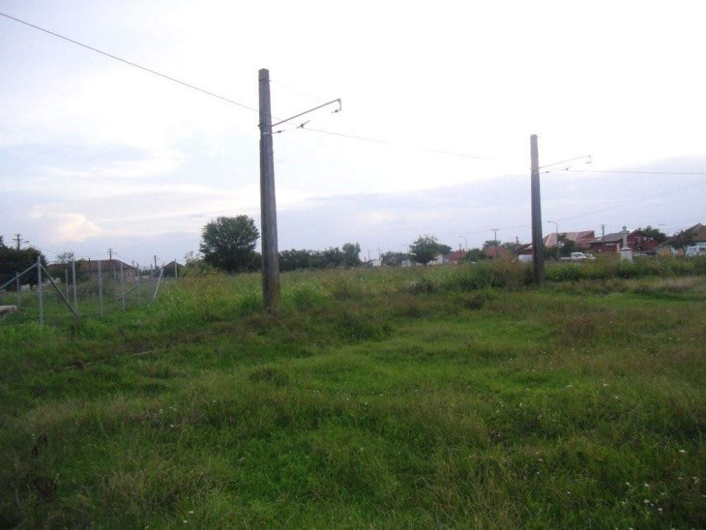 ruine parc sarbesc