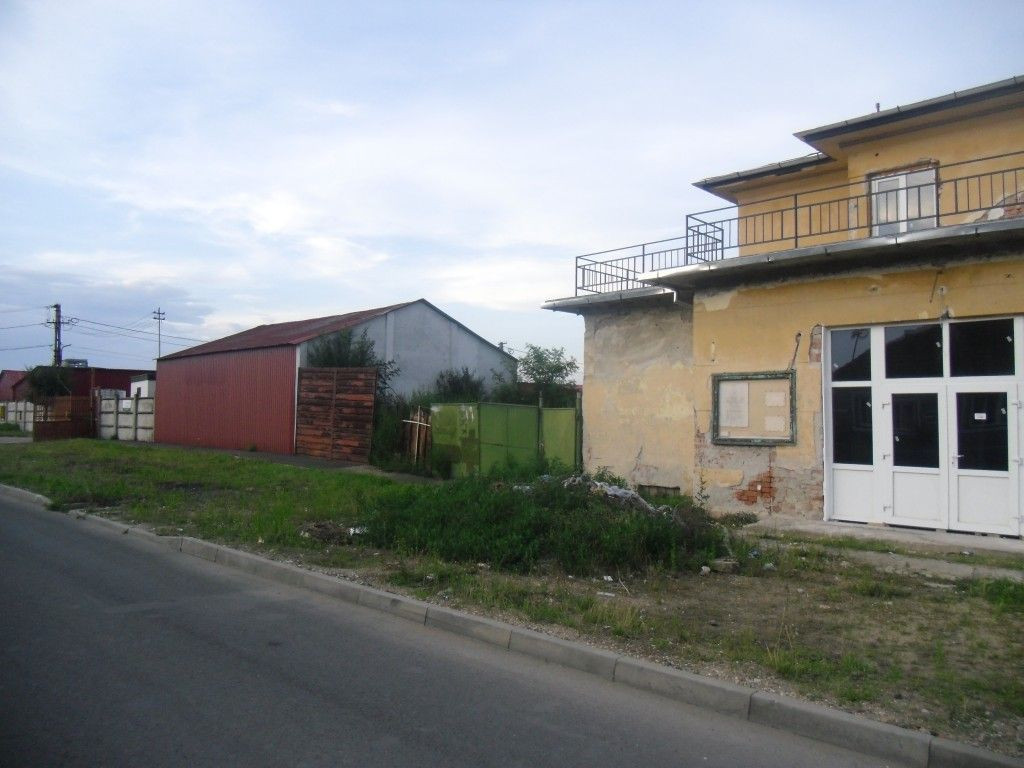 ruine solidaritatea